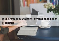 软件开发是什么公司类型（软件开发属于什么行业类别）