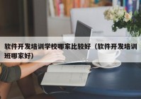 软件开发培训学校哪家比较好（软件开发培训班哪家好）