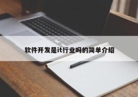 软件开发是it行业吗的简单介绍