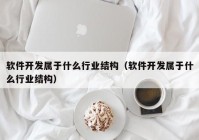 软件开发属于什么行业结构（软件开发属于什么行业结构）