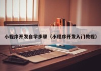 小程序开发自学步骤（小程序开发入门教程）