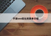 宁波seo优化的简单介绍