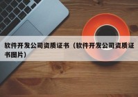 软件开发公司资质证书（软件开发公司资质证书图片）