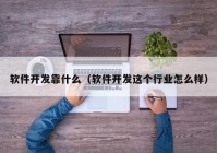 软件开发靠什么（软件开发这个行业怎么样）