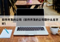 软件开发的公司（软件开发的公司取什么名字好）