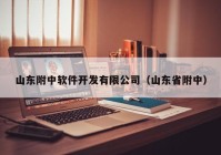 山东附中软件开发有限公司（山东省附中）