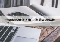 何谓东莞seo优化推广（东莞seo建站推广）